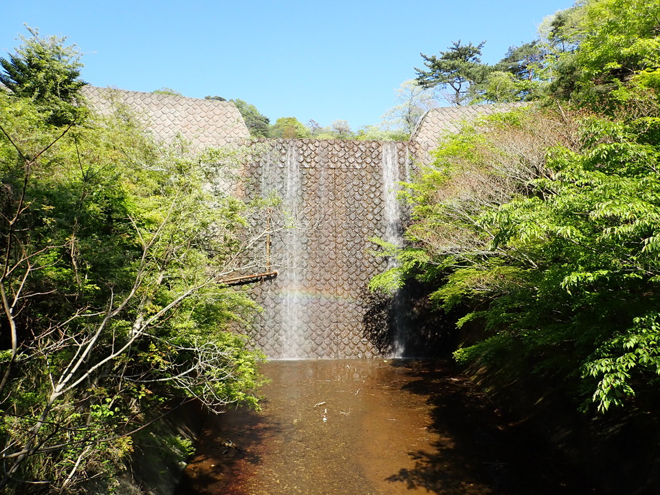 P5037873_mid.jpg