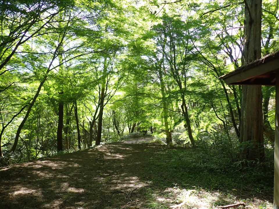 P5037874_mid.jpg
