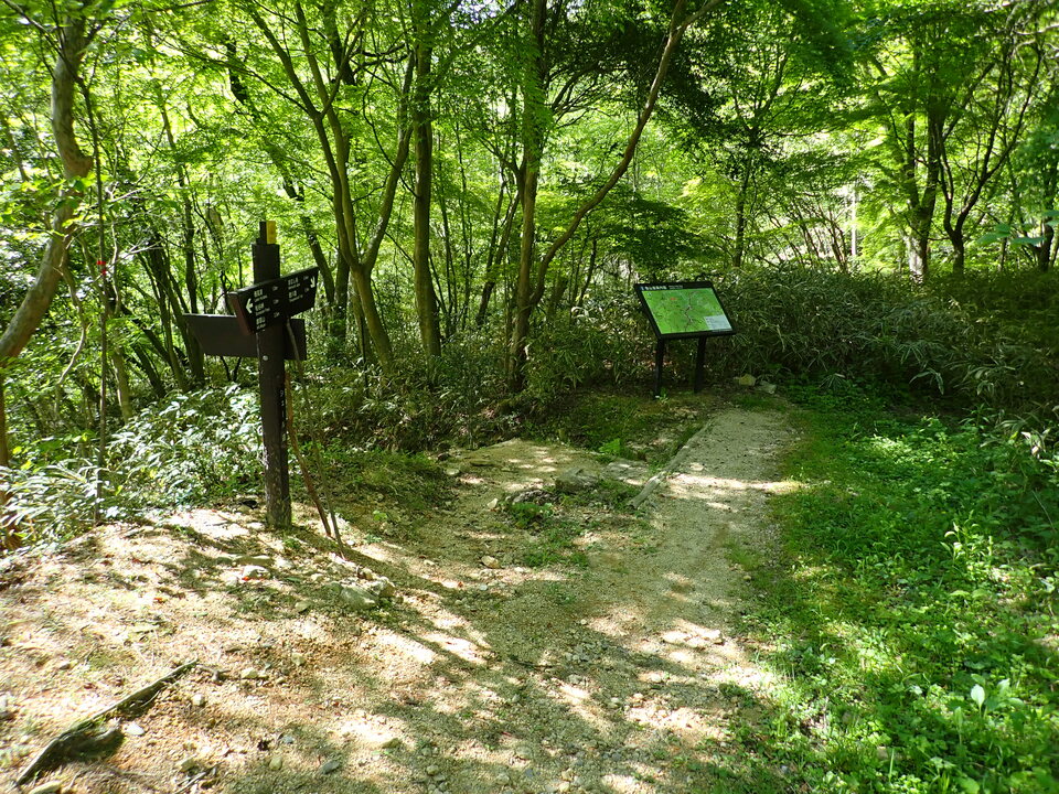 P5037877_mid.jpg