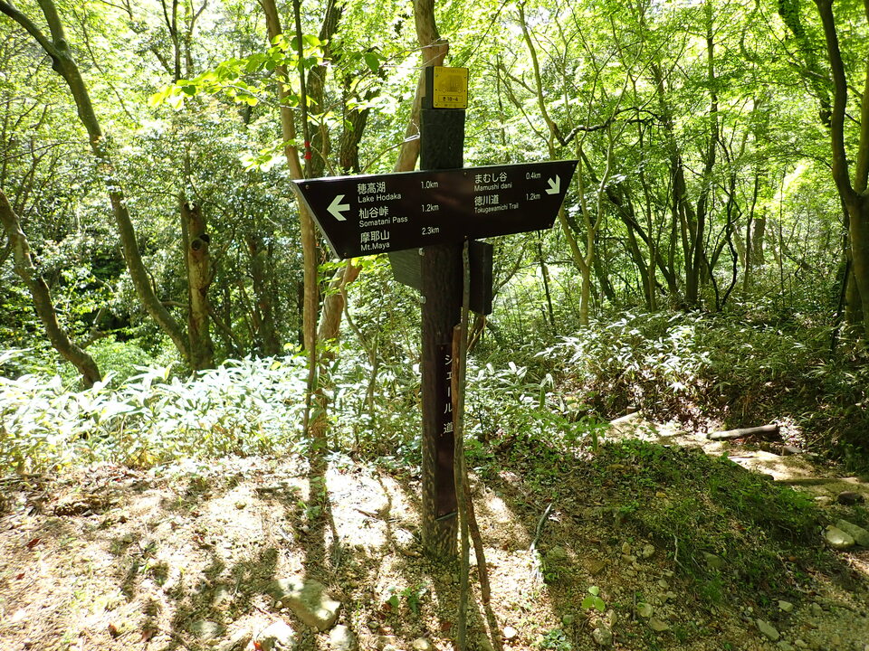 P5037878_mid.jpg