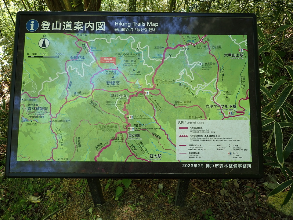 P5037879_mid.jpg