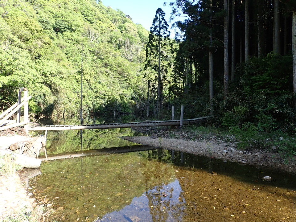 P5037883_mid.jpg