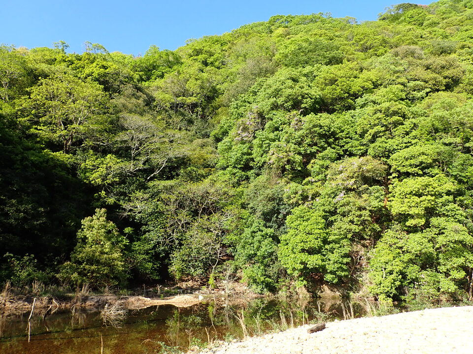 P5037887_mid.jpg