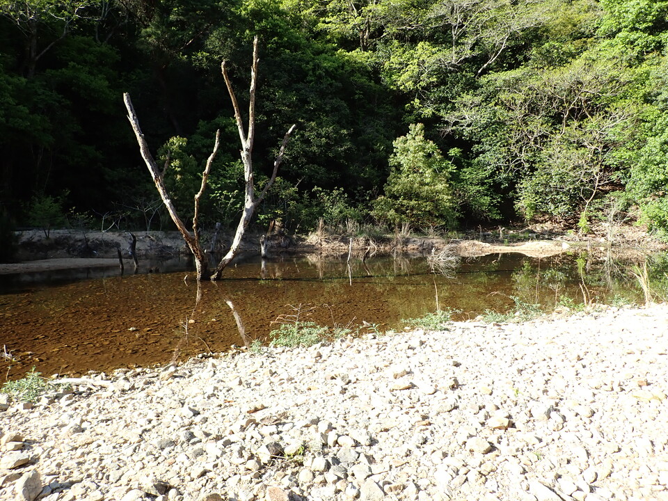 P5037888_mid.jpg