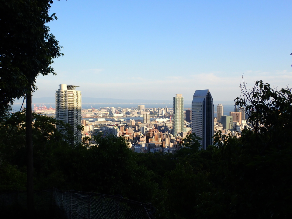 P5037890_mid.jpg