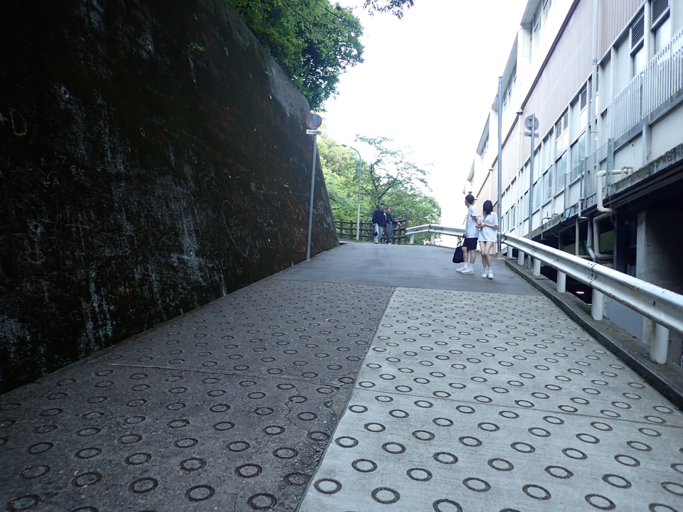 P5037892_mid.jpg