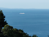 DSC_2710_thumb.png