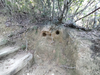 DSC_2723_thumb.png