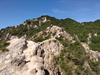 DSC_2728_thumb.png