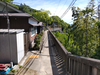 DSC_2730_thumb.png