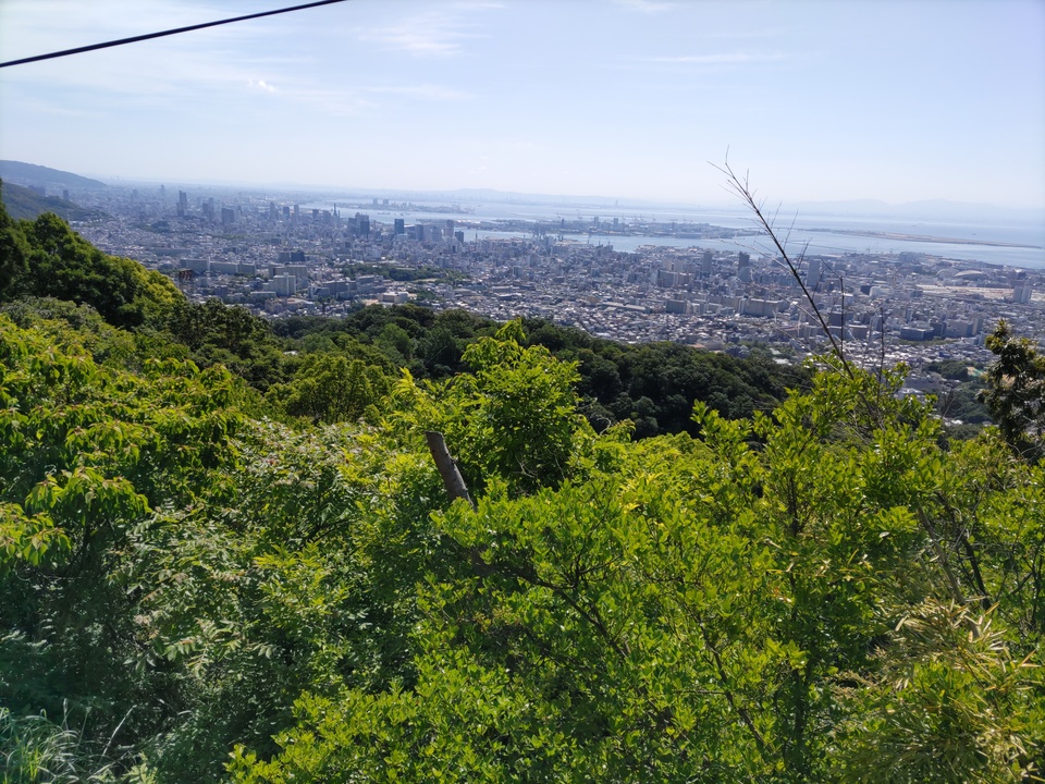 DSC_2731_mid.jpg