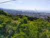 DSC_2731_thumb.png