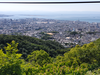 DSC_2733_thumb.png