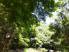 DSC_2761_thumb.png