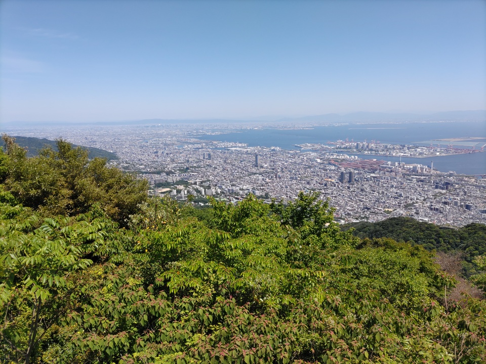 DSC_2766_mid.jpg