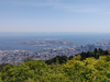 DSC_2770_thumb.png