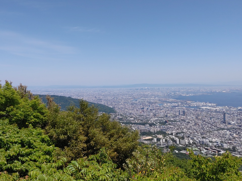 DSC_2774_mid.jpg