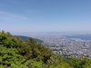 DSC_2774_thumb.png