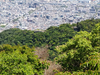 DSC_2775_thumb.png