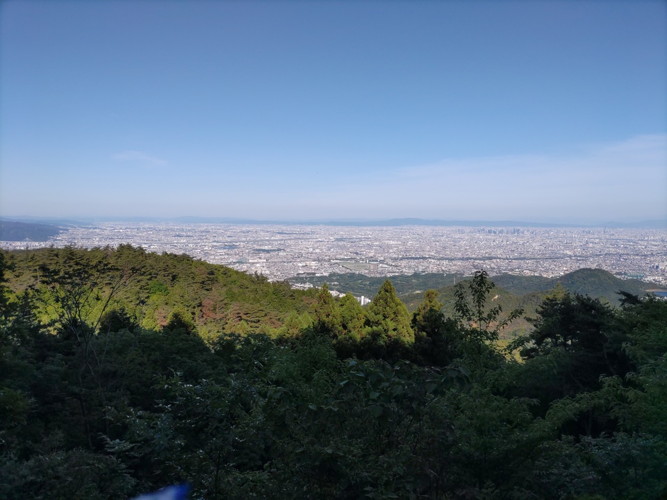 DSC_2782_mid.jpg