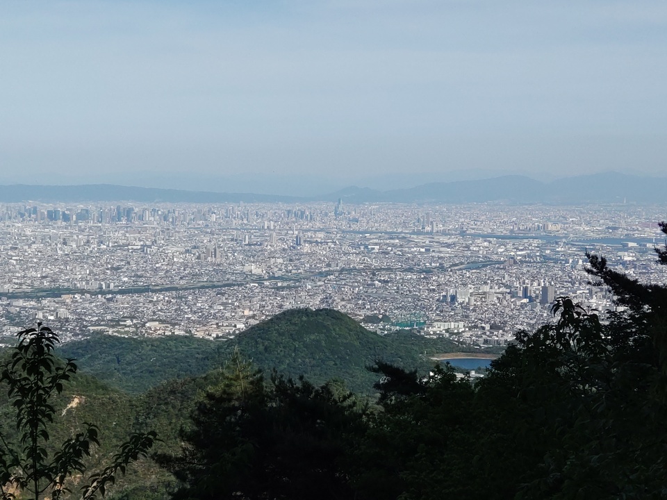 DSC_2786_mid.jpg