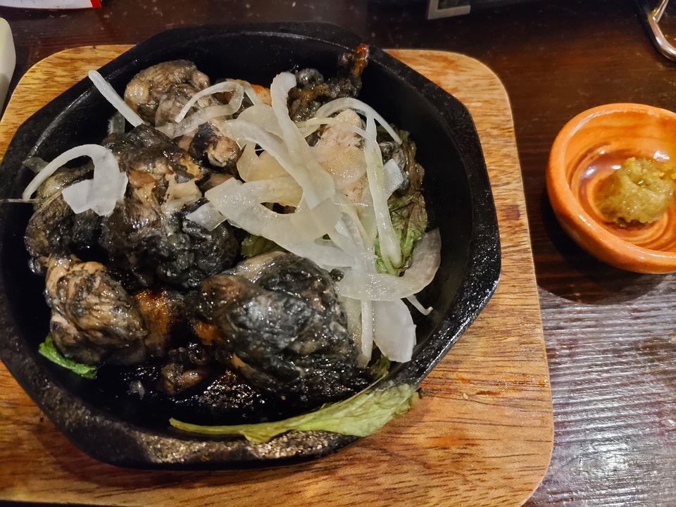 DSC_2814_mid.jpg