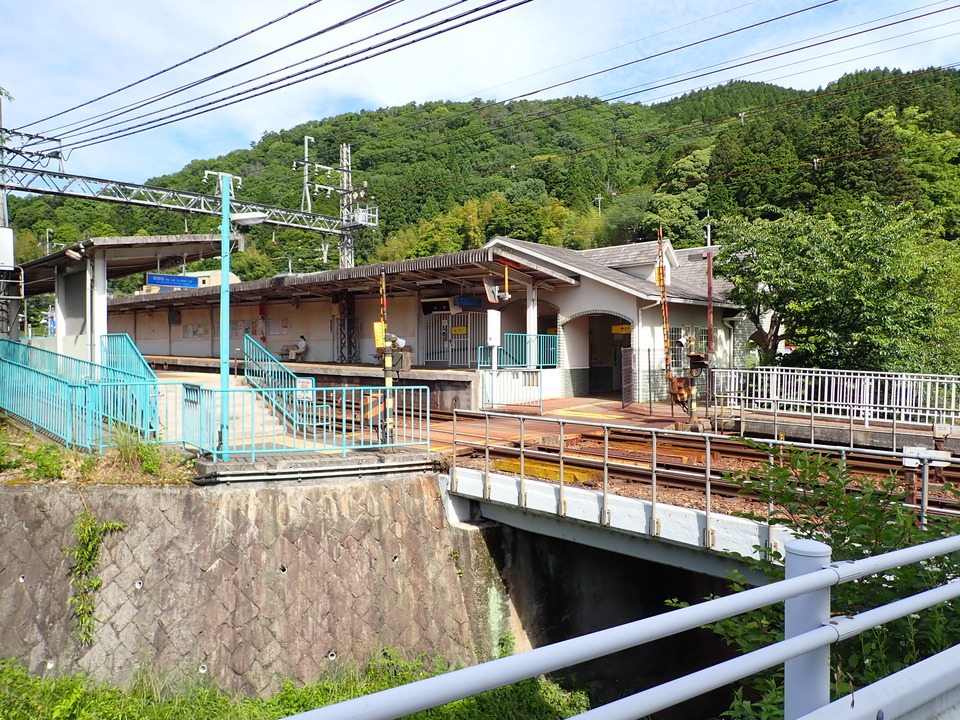 P6017894_mid.jpg