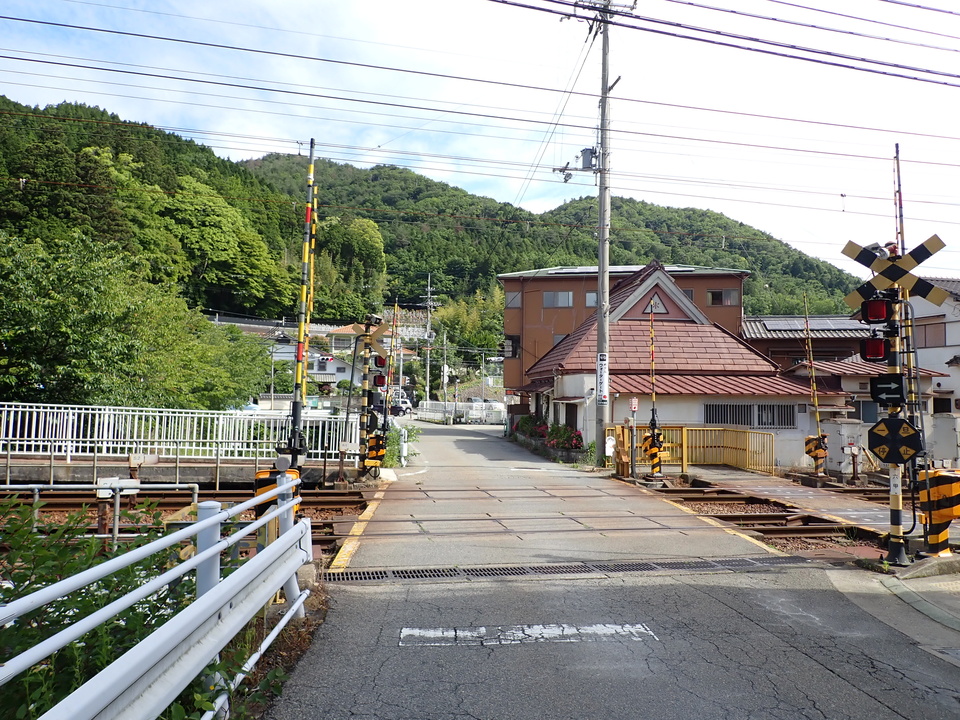 P6017895_mid.jpg