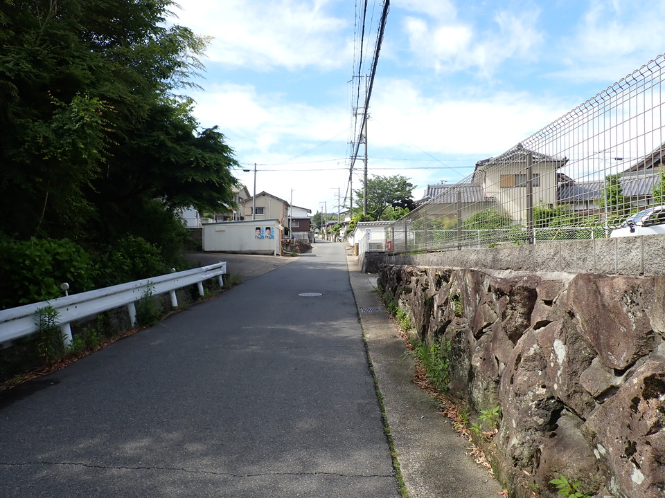 P6017896_mid.jpg