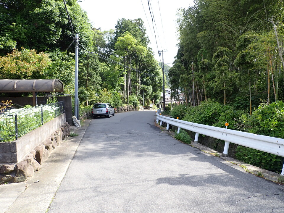 P6017897_mid.jpg