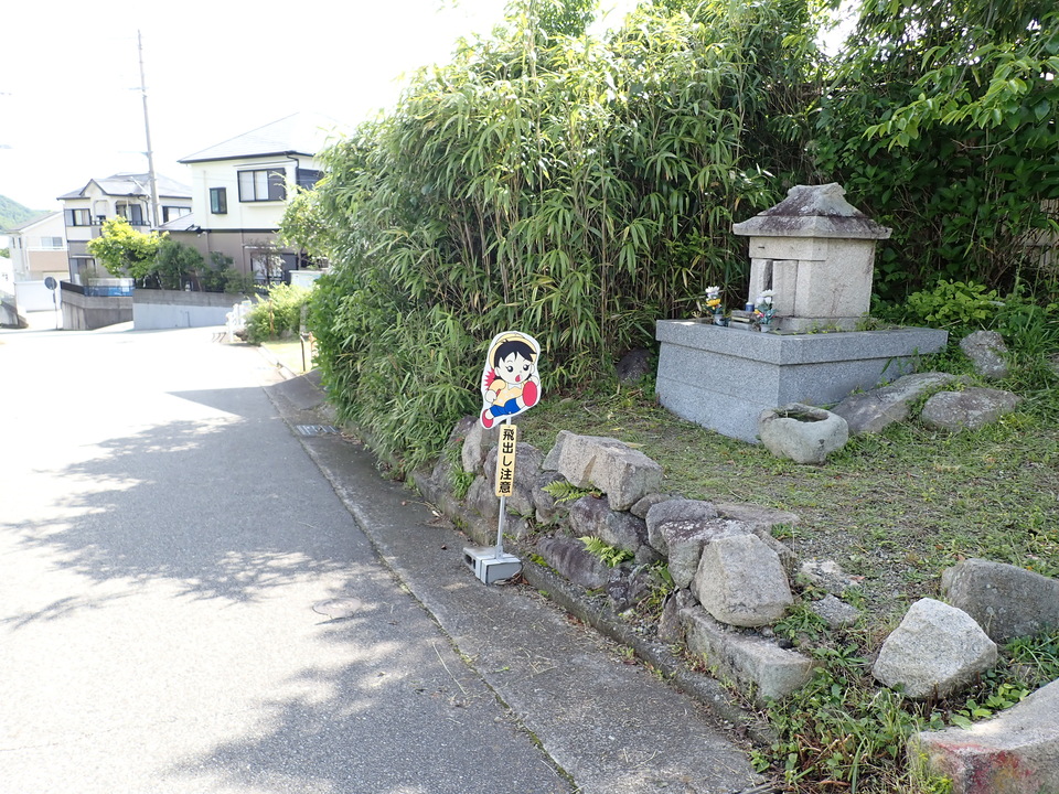P6017898_mid.jpg