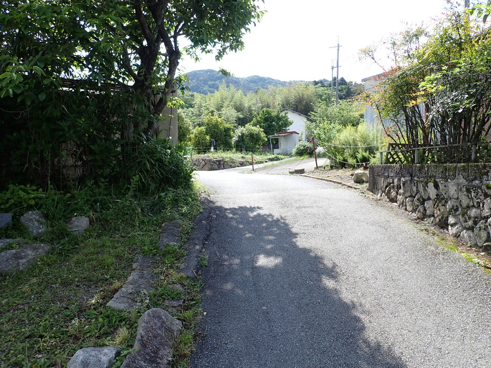 P6017899_mid.jpg