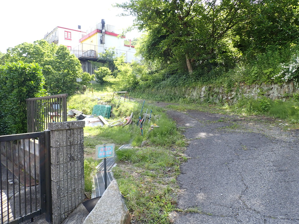 P6017900_mid.jpg