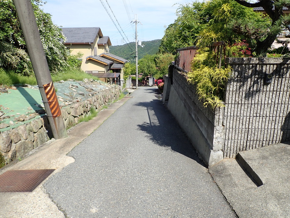 P6017901_mid.jpg