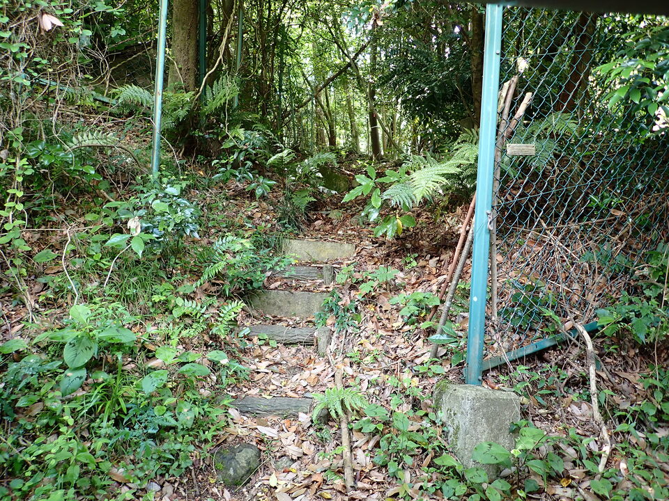 P6017908_mid.jpg