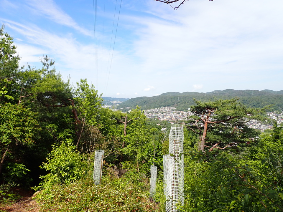 P6017923_mid.jpg
