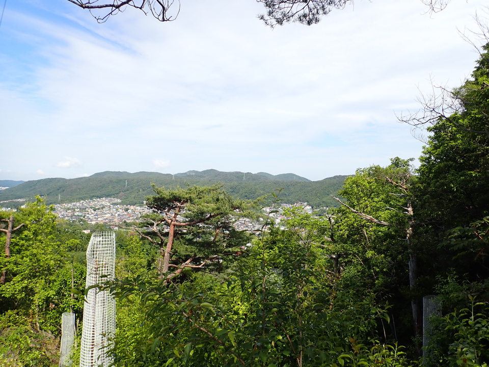 P6017924_mid.jpg