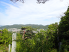 P6017924_thumb.png