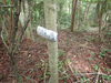 P6017932_thumb.png