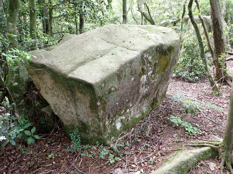 P6017934_mid.jpg