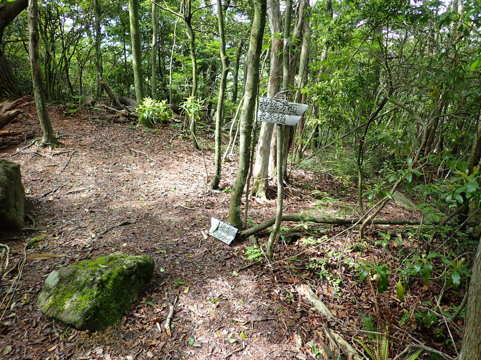 P6017935_mid.jpg