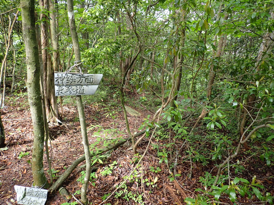 P6017936_mid.jpg