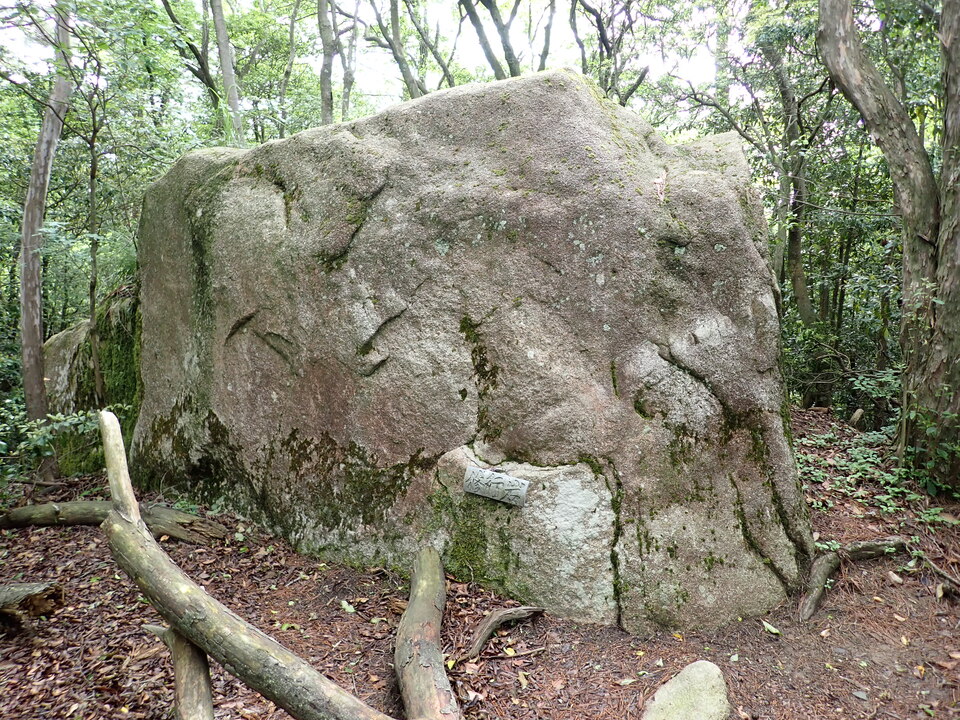 P6017940_mid.jpg