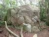 P6017940_thumb.png