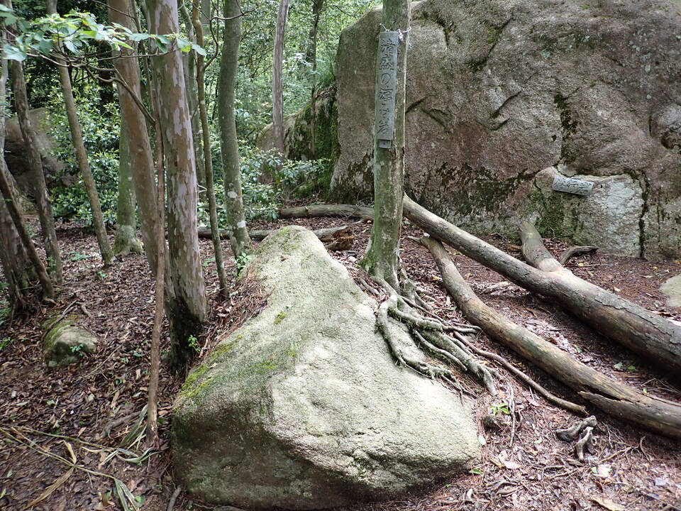 P6017944_mid.jpg