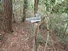 P6017947_thumb.png
