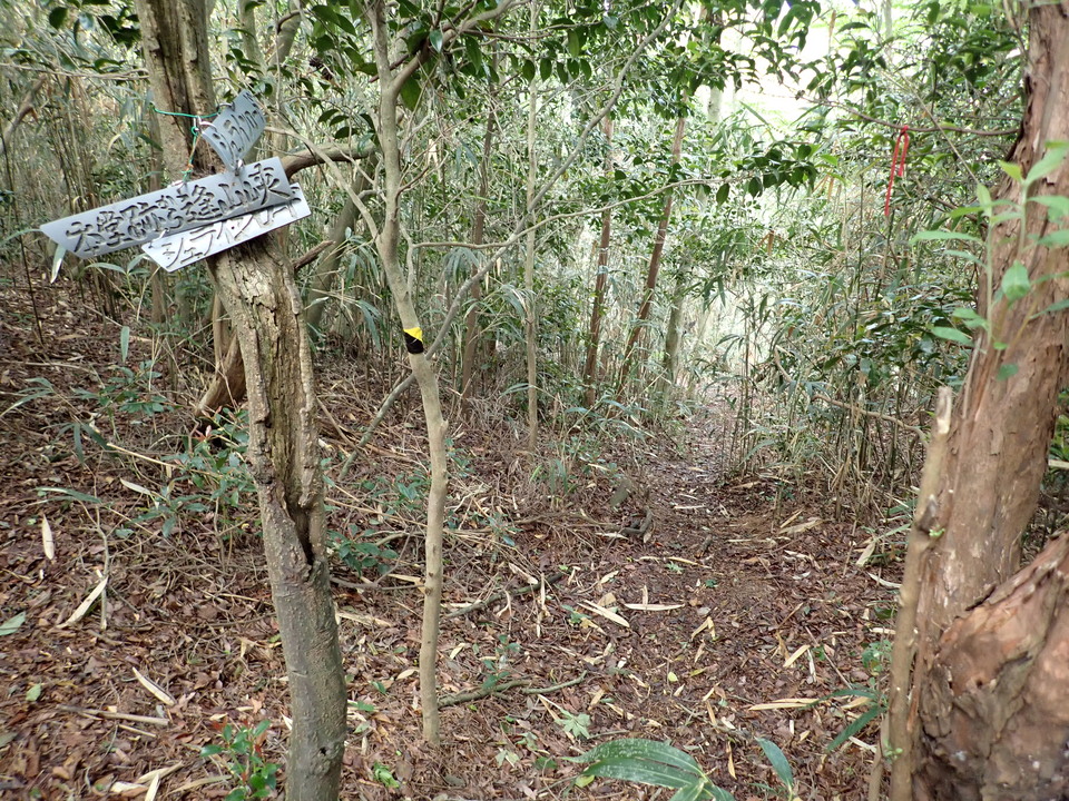 P6017948_mid.jpg