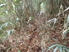 P6017952_thumb.png