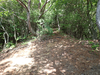 P6017971_thumb.png