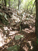 P6017978_thumb.png